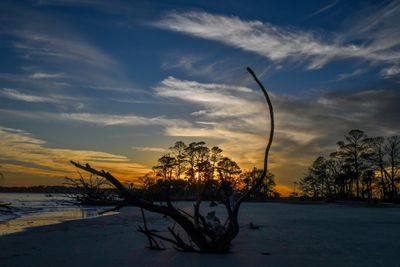 Hunting Island_144.jpg