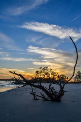Hunting Island_146.jpg