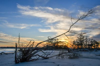 Hunting Island_152.jpg