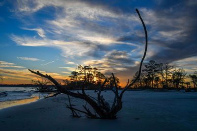 Hunting Island_168.jpg