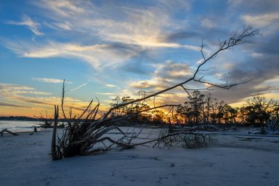 Hunting Island_176.jpg