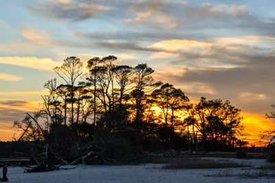 Hunting Island_188.jpg