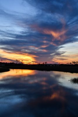 Hunting Island_206.jpg