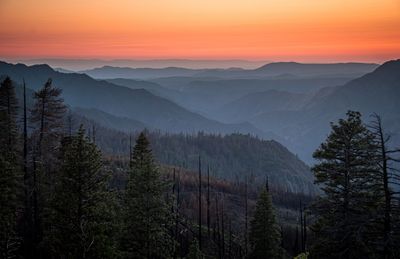 Sierra Sunset.jpg