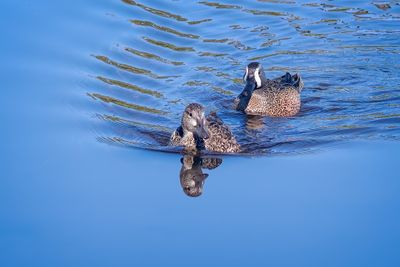 Orlando Wetlands-1.jpg