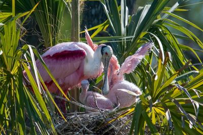 Orlando Wetlands-14.jpg