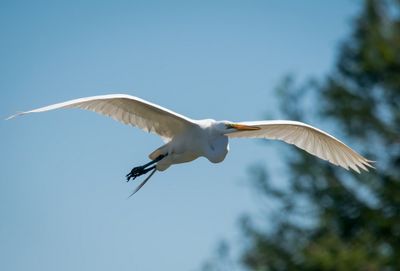 Orlando Wetlands-19.jpg