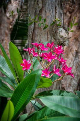 Rock City Gardens-17.jpg