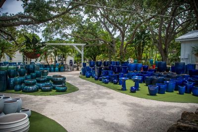 Rock City Gardens-5.jpg
