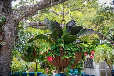 Rock City Gardens-8.jpg