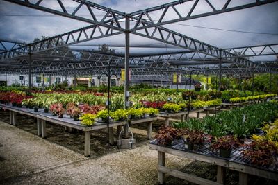 Rock City Gardens-25.jpg