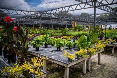 Rock City Gardens-26.jpg