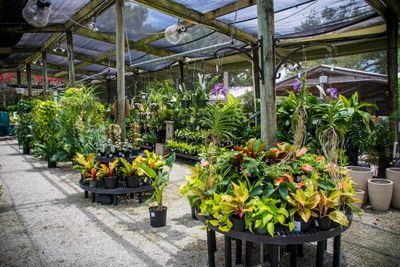 Rock City Gardens-29.jpg