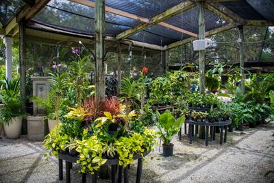 Rock City Gardens-30.jpg