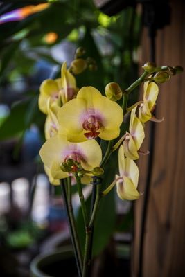 Rock City Gardens-34.jpg