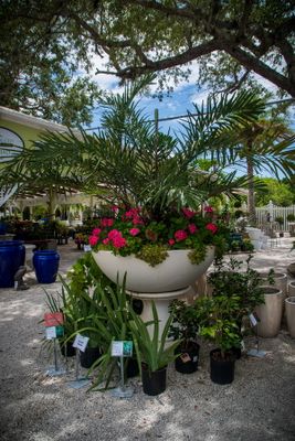 Rock City Gardens-36.jpg