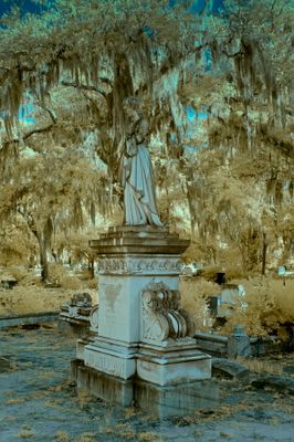 Bonaventure Cemetery_IR.jpg