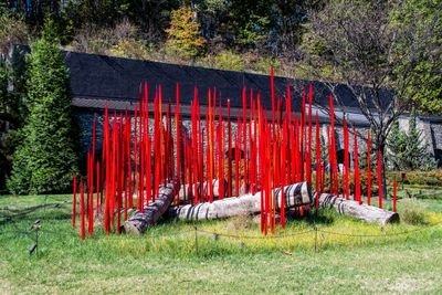 Makers Mark Distillery_089.jpg