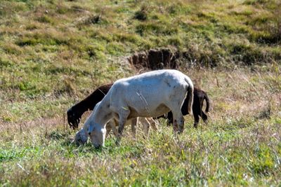 Makers Mark Distillery_242.jpg