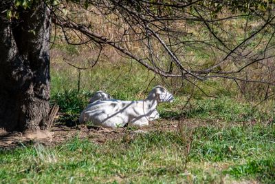 Makers Mark Distillery_245.jpg