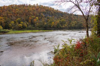 _MG_9046 White River