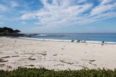 20241109_103455-_MG_9586.jpg