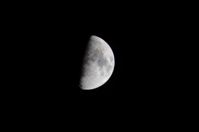 20241109_181400-_MG_9721.jpg