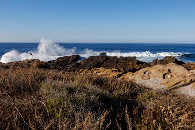 20241110_084219-_MG_9733.jpg