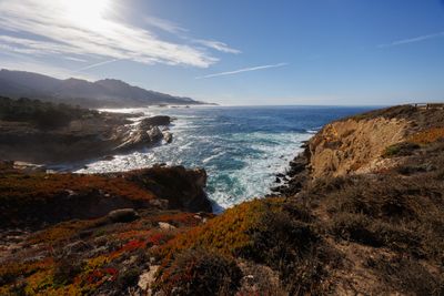 20241110_090958-_MG_9766.jpg