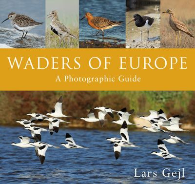 Waders of Europe