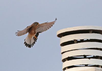 Gran Canaria 220406-220413