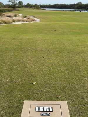 StreamSong - cd - The Chains - hole 10 - 111 yds - hit punch 8 iron.jpg