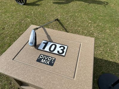 StreamSong - cn - The Chains - hole 12 - so windy had to hit 6 iron.jpg