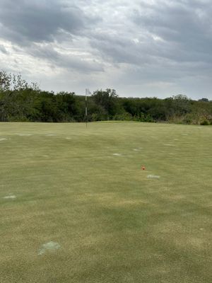 StreamSong - cq - The Chains - hole 13 - hit the green.jpg
