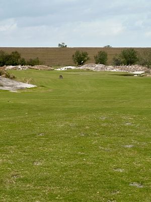 StreamSong - ct - The Chains - hole 14 - hit 4 wood off the tee.jpg