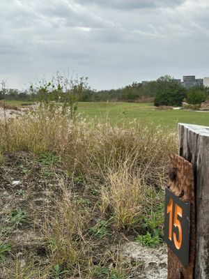 StreamSong - cw - The Chains - hole 15 - dead into 25 mph wind.jpg