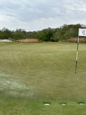 StreamSong - cz - The Chains - hole 15 - hit driver 170 yds straight past the hole.jpg
