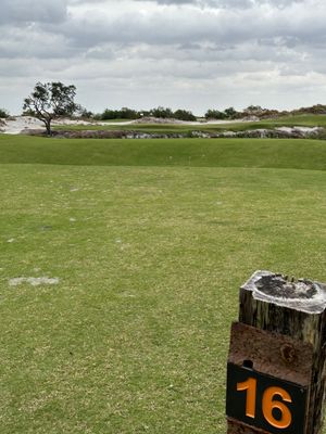 StreamSong - db - The Chains - hole 16 - over a gully - right to left wind.jpg