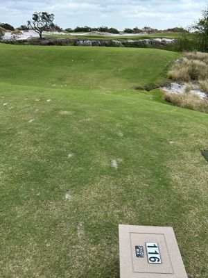 StreamSong - dc - The Chains - hole 16 - 116 yds - hit punch 6 iron over the green.jpg