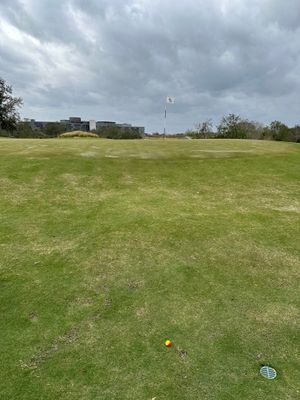 StreamSong_ swale.jpg