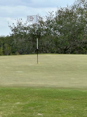 StreamSong - dn - The Chains - hole 19 - what a way to end - heres where 4 hybrid chip ended up.jpg