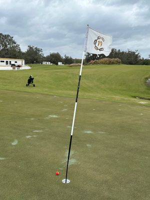 StreamSong - do - The Chains - hole 19 - what a way to end - heres where 4 hybrid chip ended up.jpg