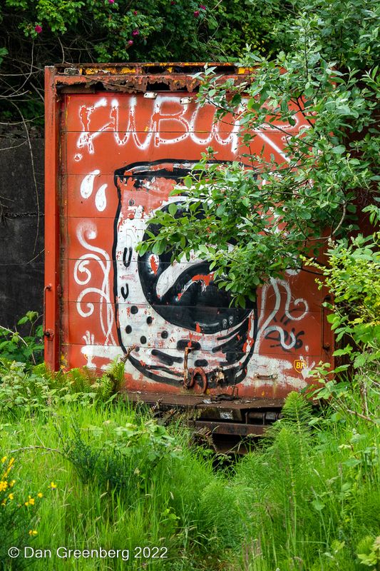 Abandoned Truck Trailer