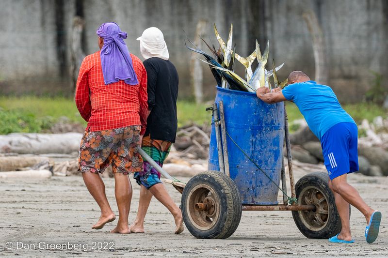 Bringing in the Catch