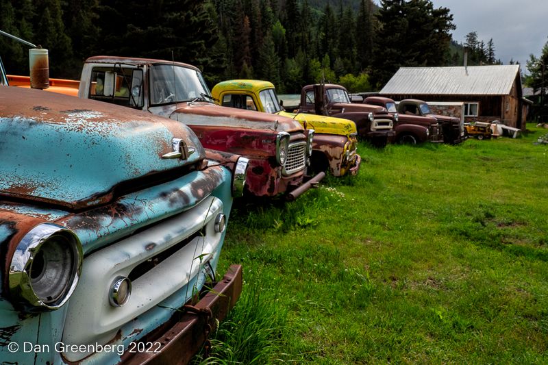 Various International Trucks