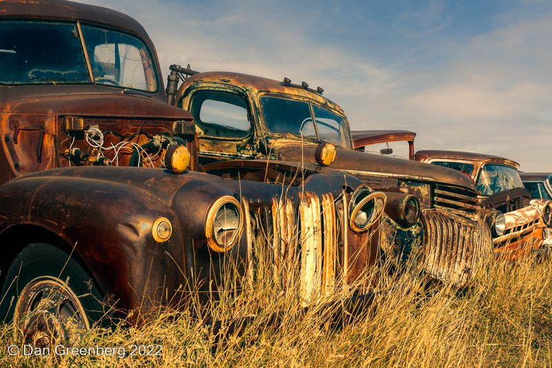 1942-47 Ford and 1941-46 Chevy Trucks