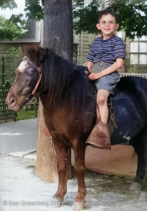 A Boy on a Pony