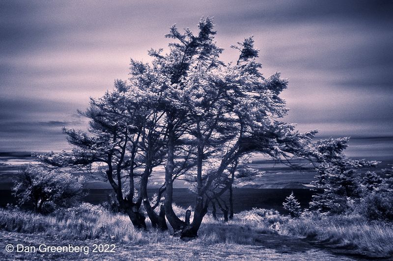 IR Landscape