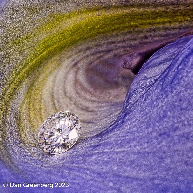 Diamond on an Iris Petal