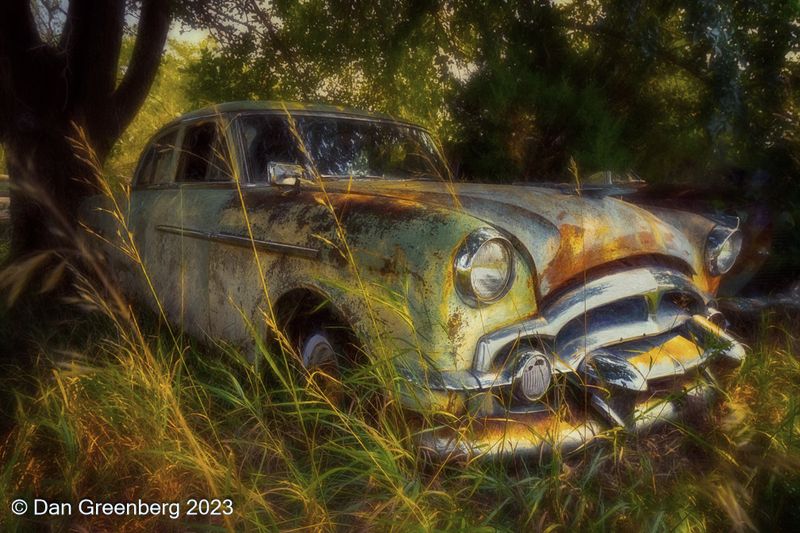 Relics in the Wild 2